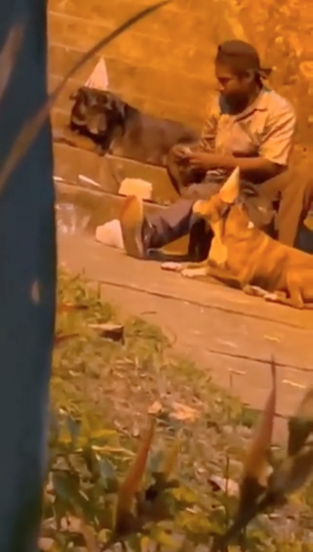 Sniff: Hombre en situación de calle celebra su cumpleaños con sus perritos y el video te hará llorar