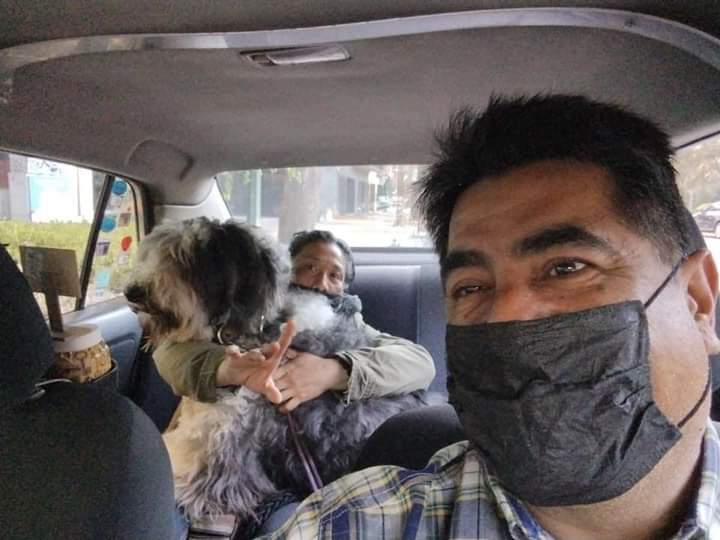 Hombre se hace viral por tener un taxi pet friendly en la CDMX