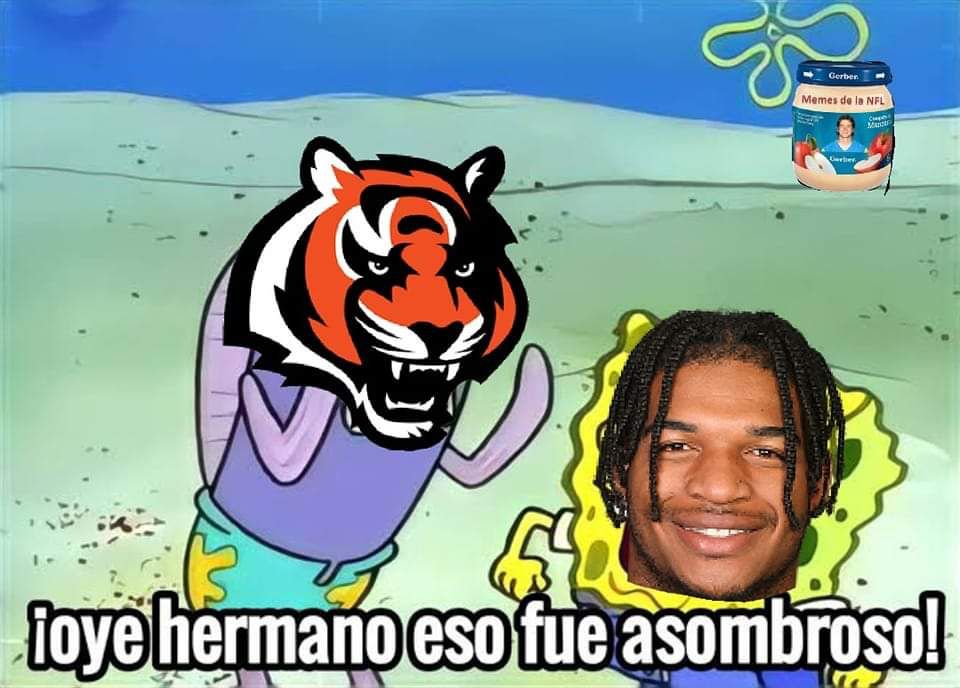 Meme de la semana 17 de la NFL