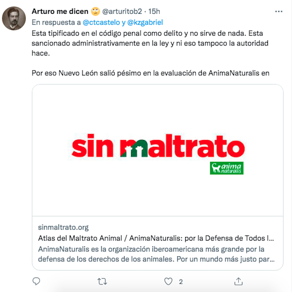 nuevo-leon-denuncia-perritos-maltrato-animal