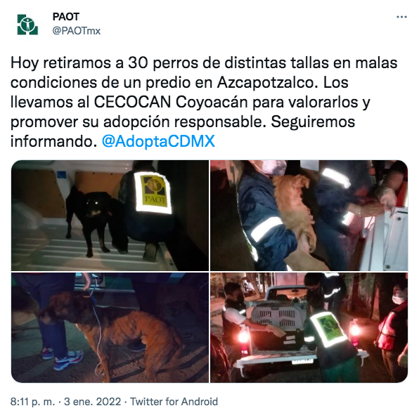 paot-denuncia-perros-cdmx