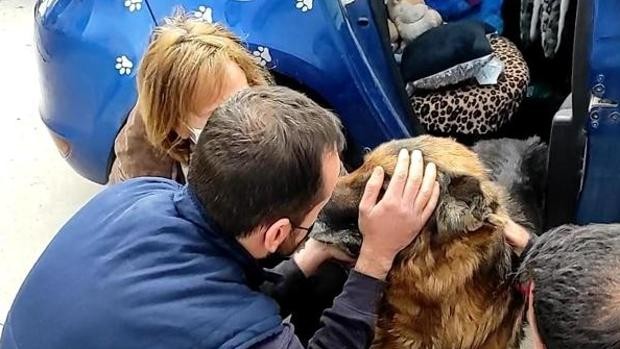 Perrito se reencuentra con su familia después de buscarlo durante seis años