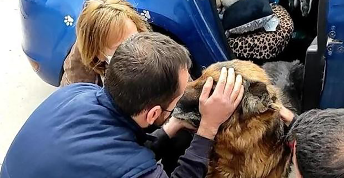 Ayyy: Perrito se reencuentra con su familia después de buscarlo durante seis años