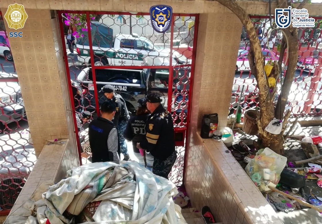 rescataron-12-perritos-cdmx