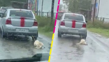 Arrastran a un perro con el auto en plena lluvia en calles de Tabasco