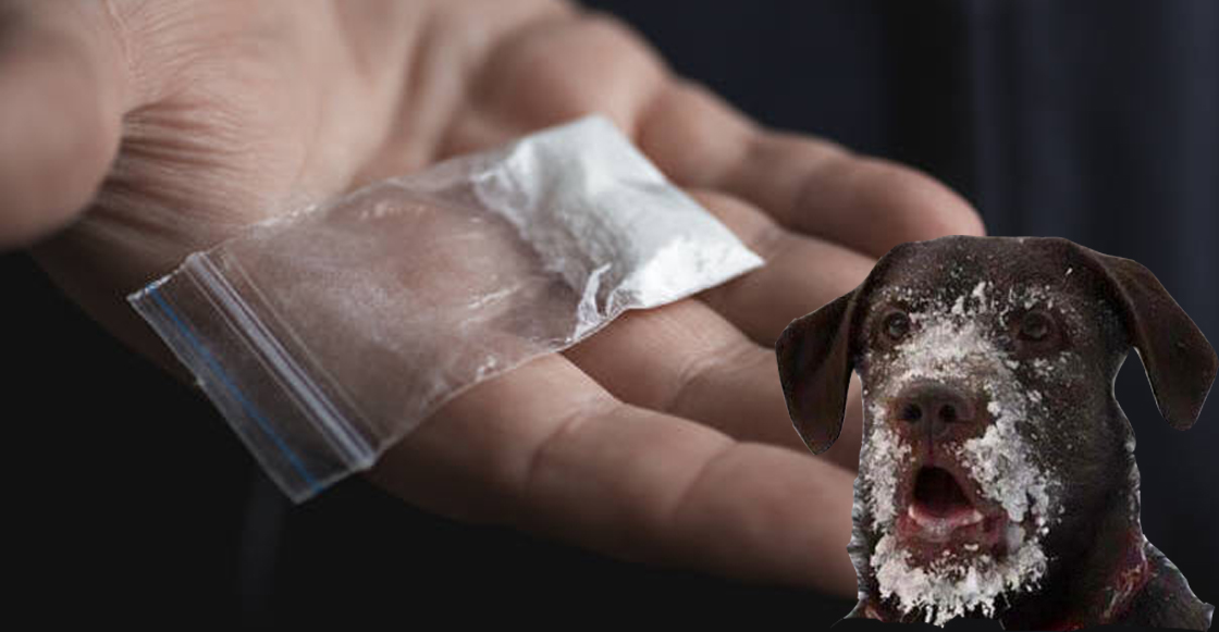 cocacina-droga-dosis