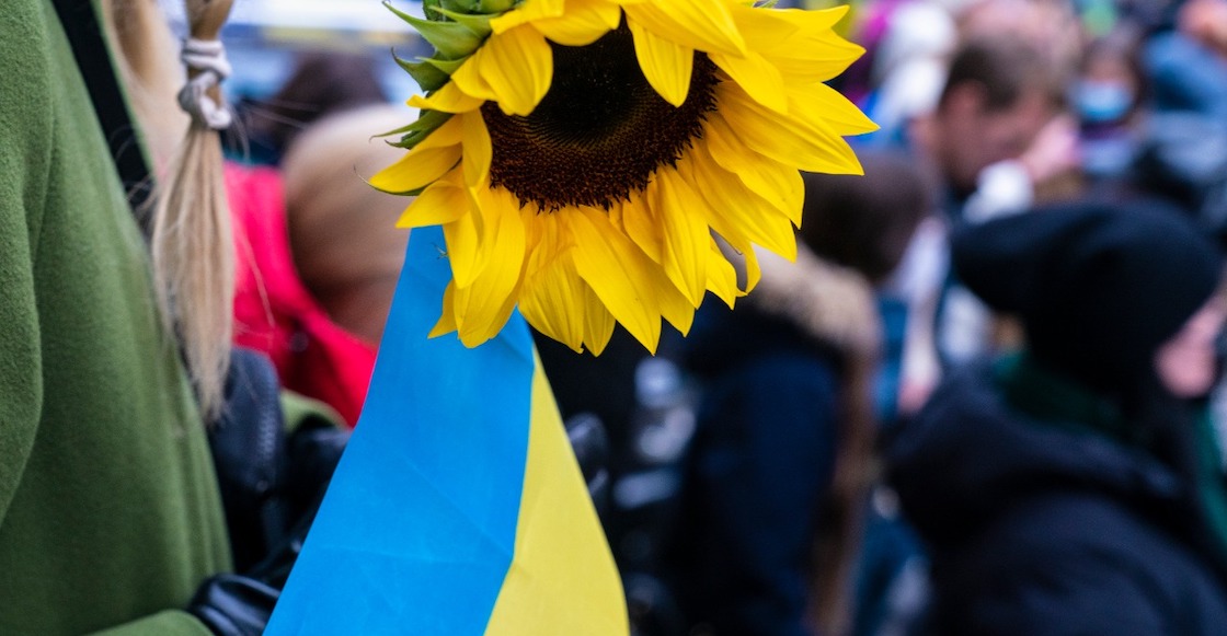 girasoles-importancia-orgullo-ucrania-kiev-historia-aceite-como--legaron-arte-girasol-04