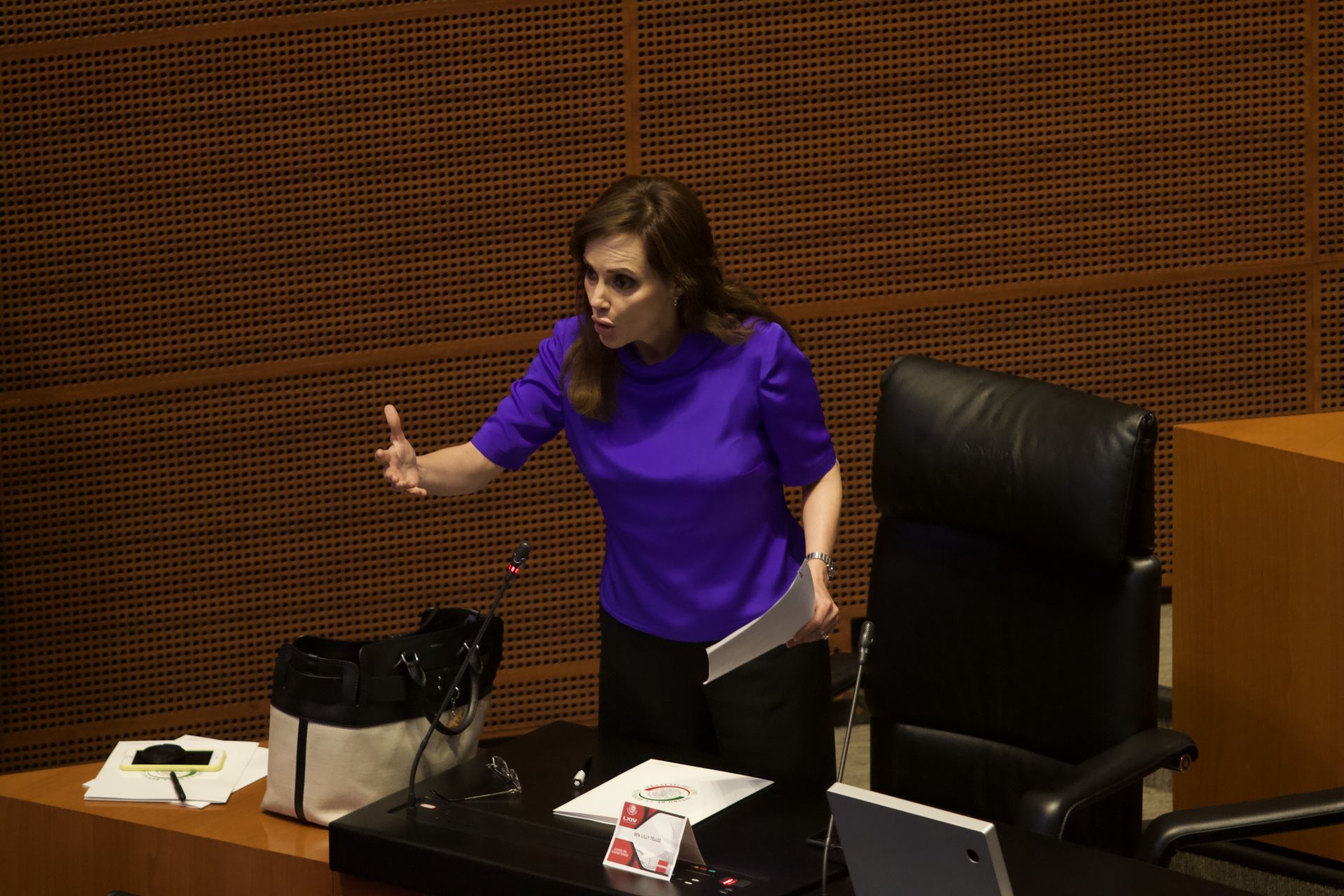 Lilly Téllez buscaría la presidencia en 2024