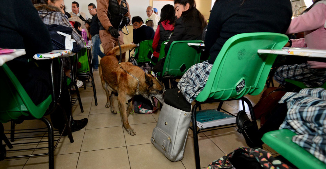 mochila-segura-scjn-mexico