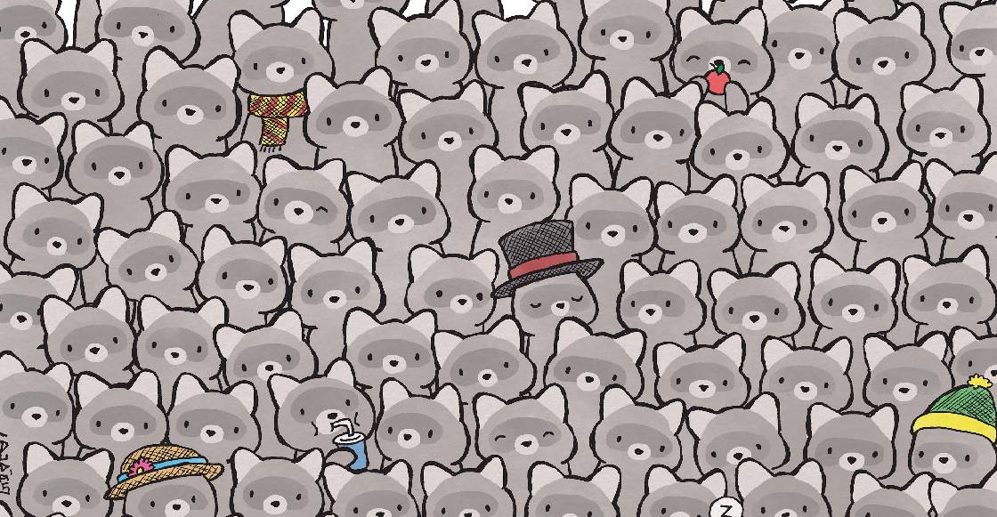 Encuentren al gatito escondido entre los mapaches en este reto visual