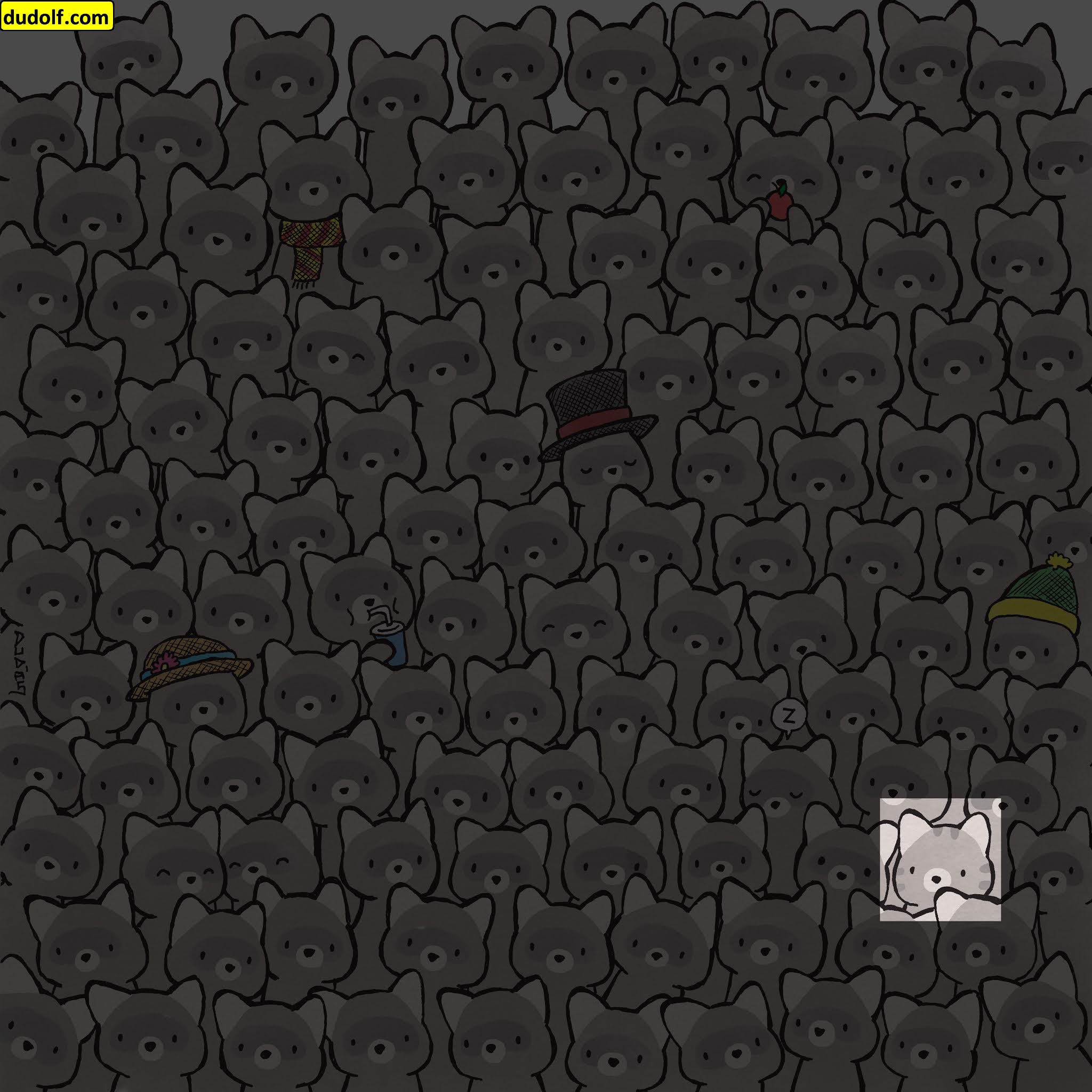 Encuentren al gatito escondido entre los mapaches en este reto visual