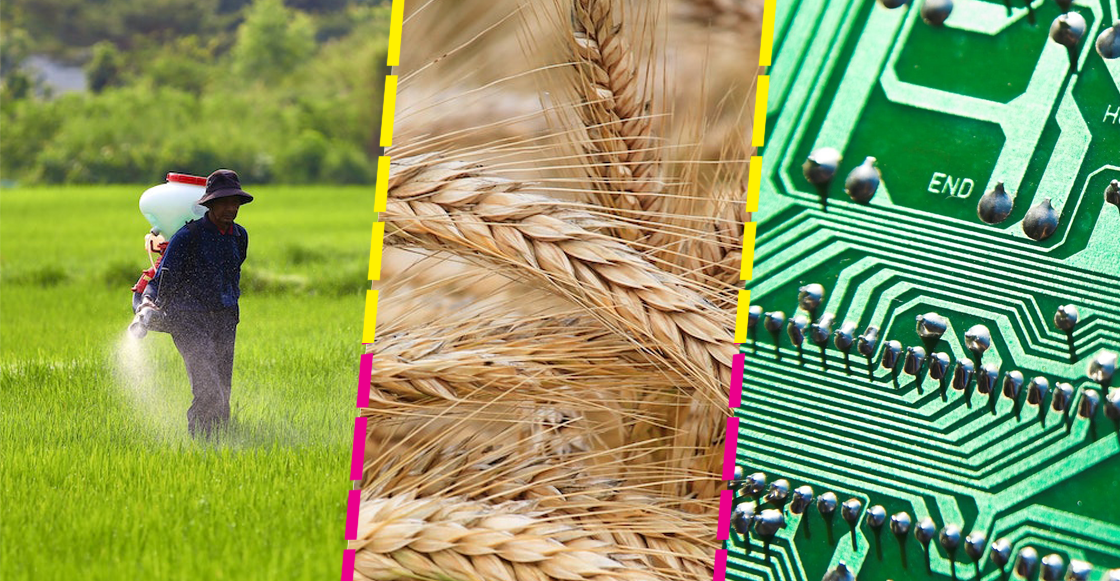 trigo-gasolina-fertilizantes-petroleo-gas-natural-ucrania-rusia-precio-cartera-impacta-mexico