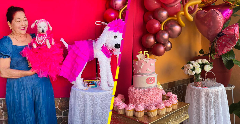 Con vestido y todo: Familia organiza fiesta de XV años para su perrita y se hace viral