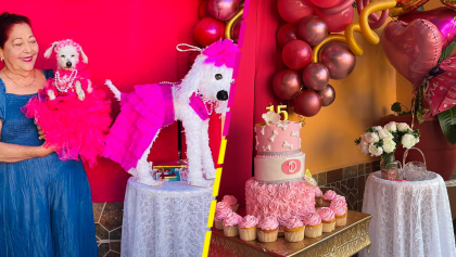 Con vestido y todo: Familia organiza fiesta de XV años para su perrita y se hace viral