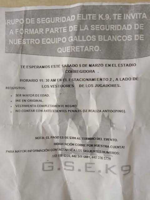 Flyer de la empresa de seguridad privada K9