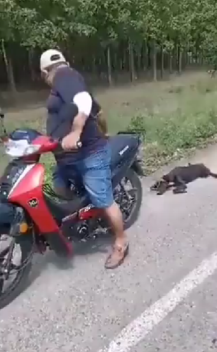 Sujeto arrastra con la moto a su perro en carretera de Tabasco