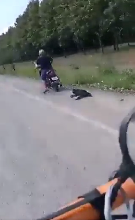 Sujeto arrastra con la moto a su perro en carretera de Tabasco