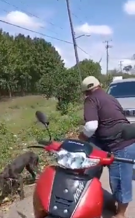 Sujeto arrastra con la moto a su perro en carretera de Tabasco