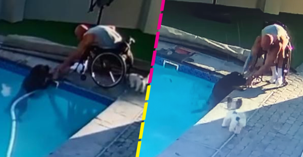 Un verdadero héroe: Hombre en silla de ruedas 'salva' a su perrito de ahogarse en una alberca