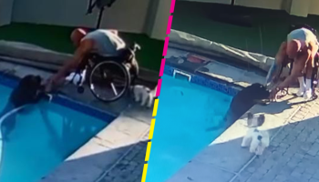 Un verdadero héroe: Hombre en silla de ruedas 'salva' a su perrito de ahogarse en una alberca