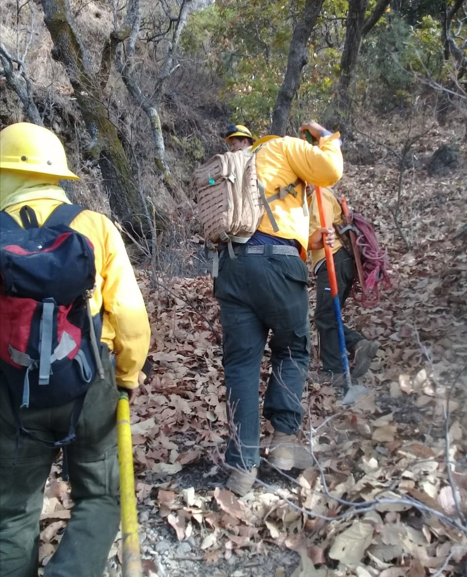 incendio-morelos-tepoztlan