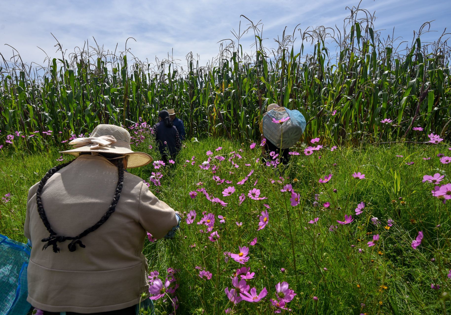 mujeres-campo-trabajo-mexico