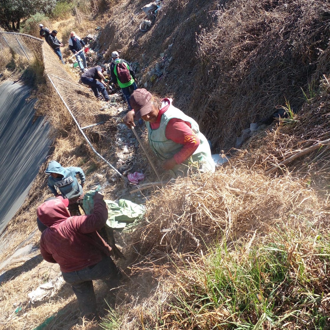 murieron-perritos-amecameca