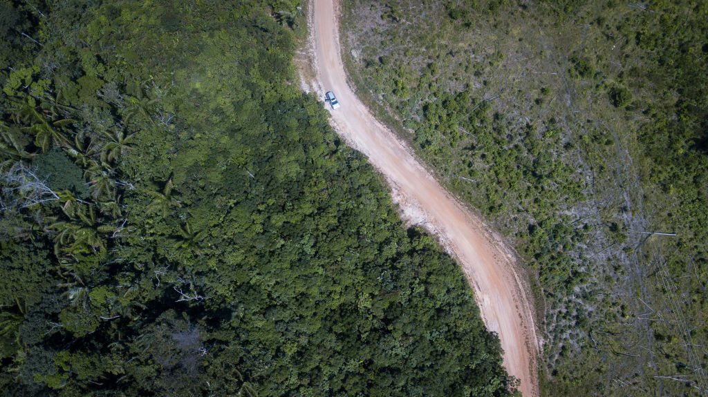 La historia de los dos niños que sobrevivieron casi 1 mes perdidos en el Amazonas