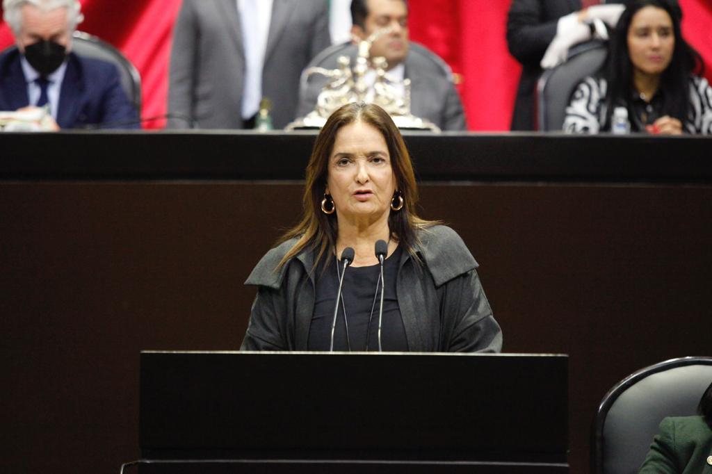 Patricia Arméndariz anuncia sus aspiraciones presidenciales