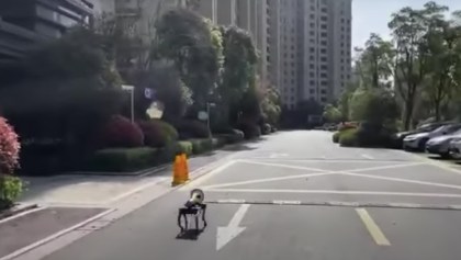 perro-robot-china-covid