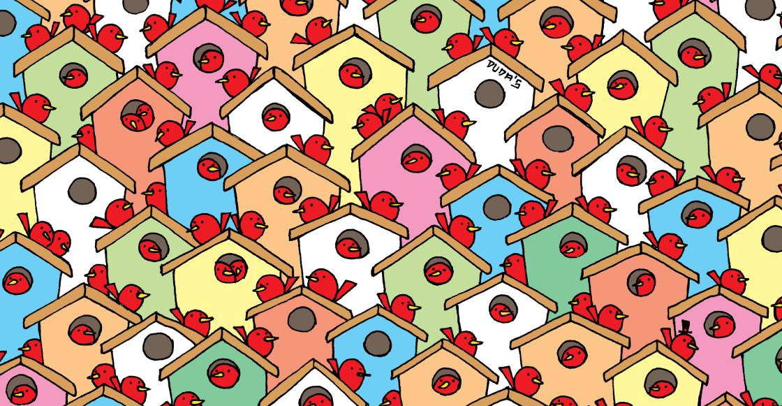 Reto visual: ¿Pueden encontrar las tres manzanas entre los pajaritos?