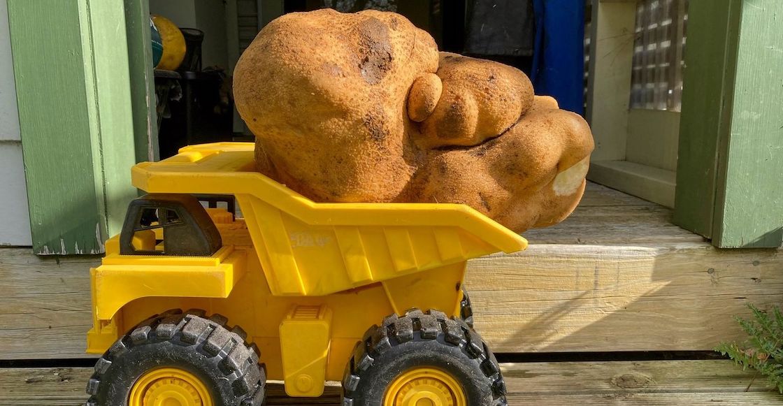 record-guinness-guiness-papa-mas-grande-mundo-falsa-no-era-polemica-doug-nueva-zelanda-2