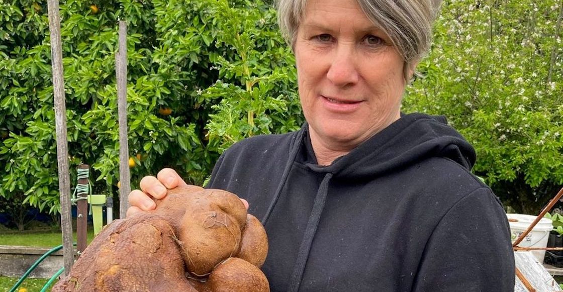 record-guinness-guiness-papa-mas-grande-mundo-falsa-no-era-polemica-doug-nueva-zelanda-3