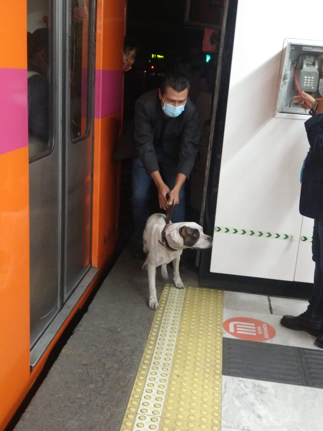 rescatan-perrito-linea-1-metro-cdmx