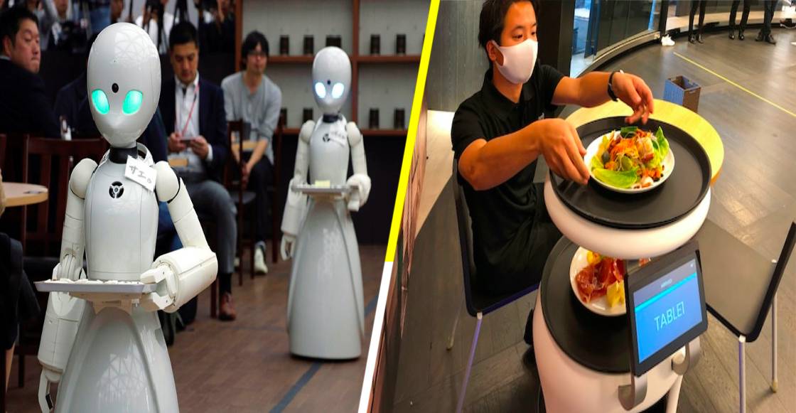 ¡No temas por tu platillo! La comida ya es servida por robots meseros