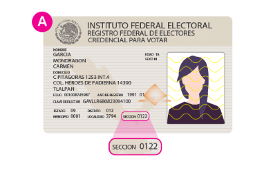 sección-electoral-ine-credencial