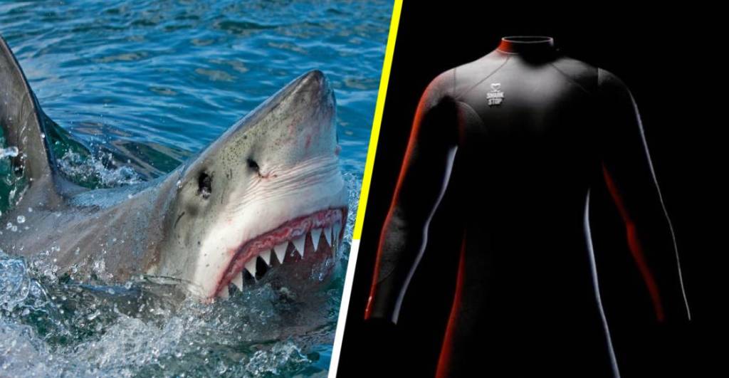 El traje de buceo capaz de resistir el ataque de tiburones está a punto de salir a la venta