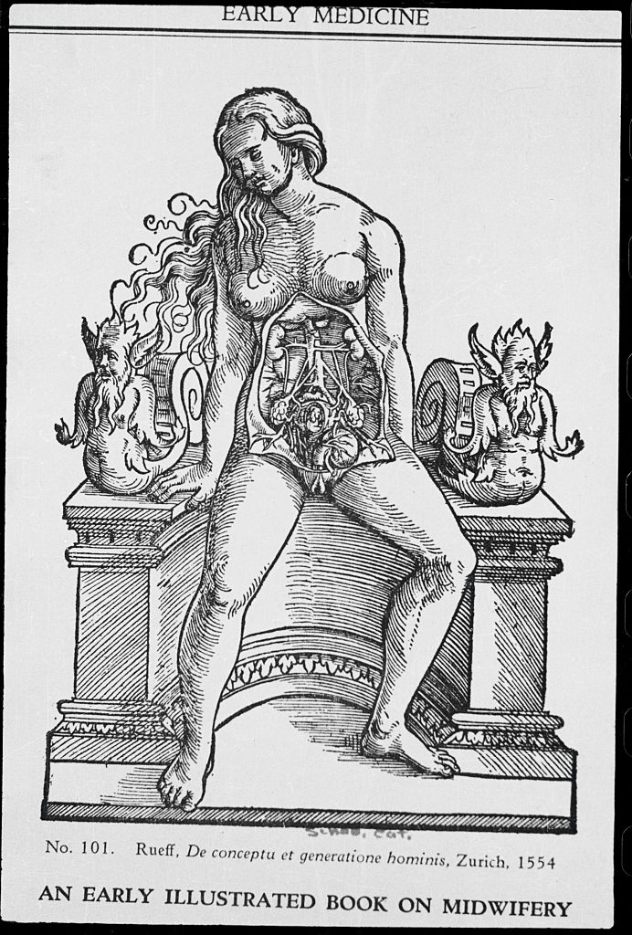 Ilustración de la anatomía de una mujer de 1554 