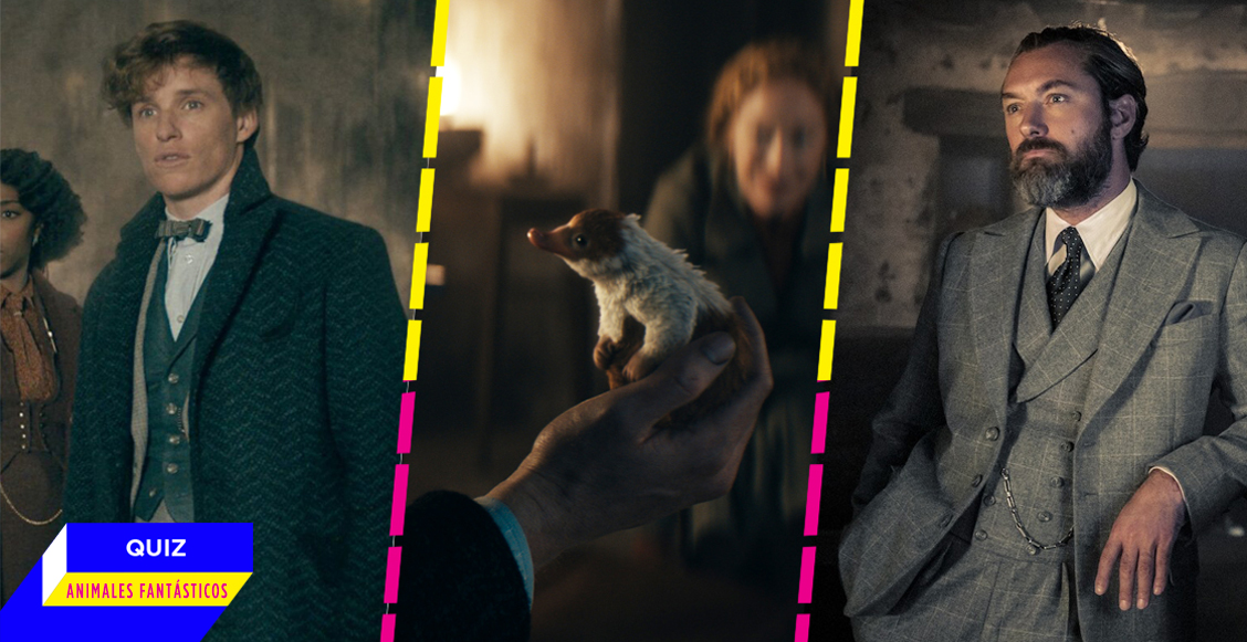 QUIZ: ¿Qué tanto sabes del universo de 'Animales fantásticos'?