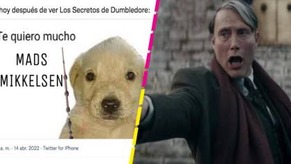 Los memes del estreno de 'Animales Fantásticos: Los secretos de Dumbledore'