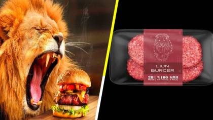 Tacos de jirafa y hamburguesas de león, el último grito gastronómico en Nueva York