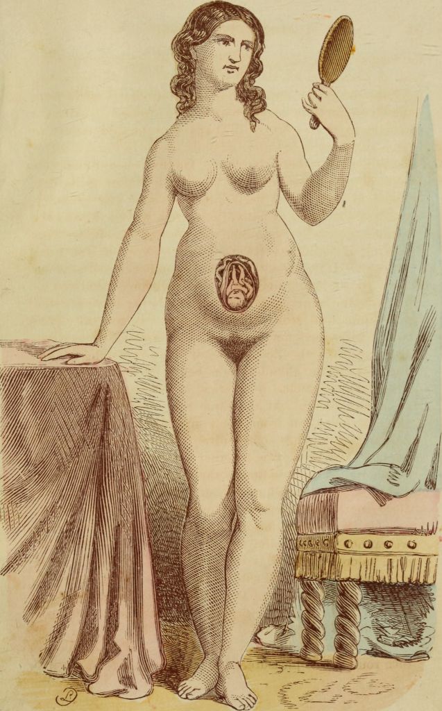 Anatomía de una mujer