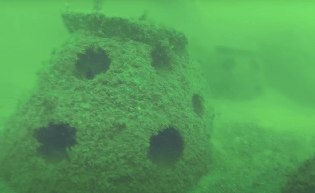 ¡Wow! Empresa usa cenizas de fallecidos para hacer arrecifes artificiales