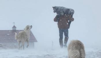 fotos-nieve-nevada-abril-tormenta-invernal-estados-unidos-dakota-videos-6