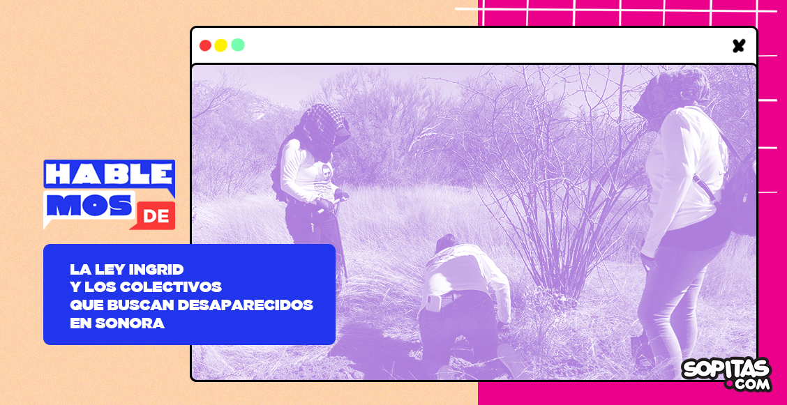 ley-ingrid-desaparecidos