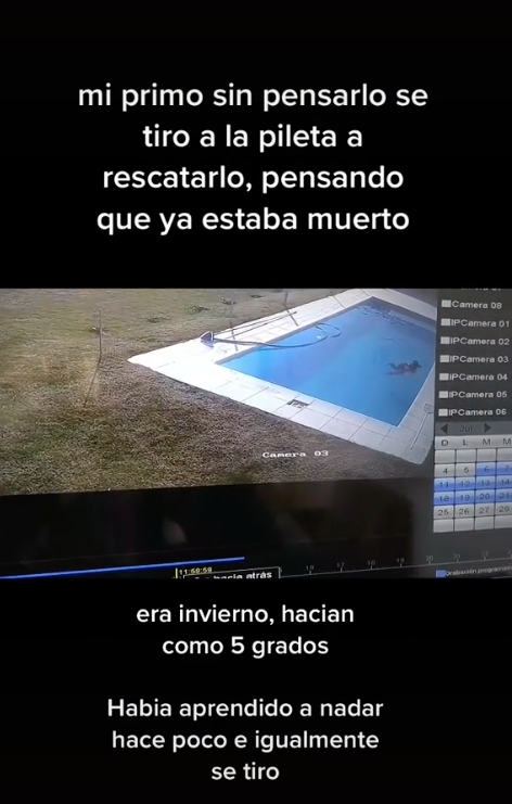 Niño salva a su perrito de morir ahogado en una alberca