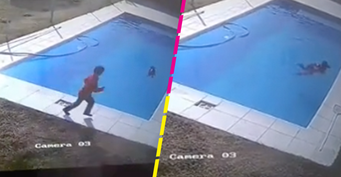 Niño salva a su perrito de morir ahogado en una alberca