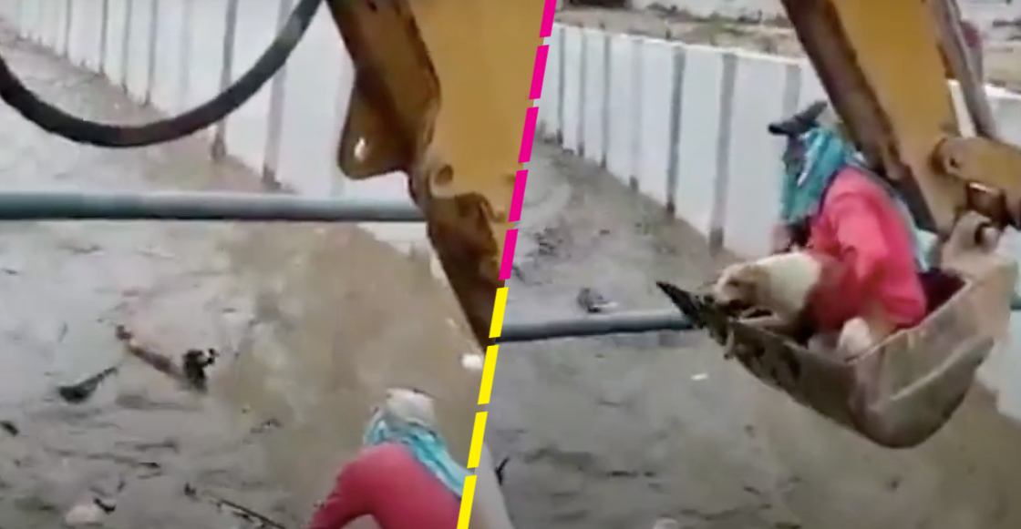 obrero-rescata-perrito-ecuador