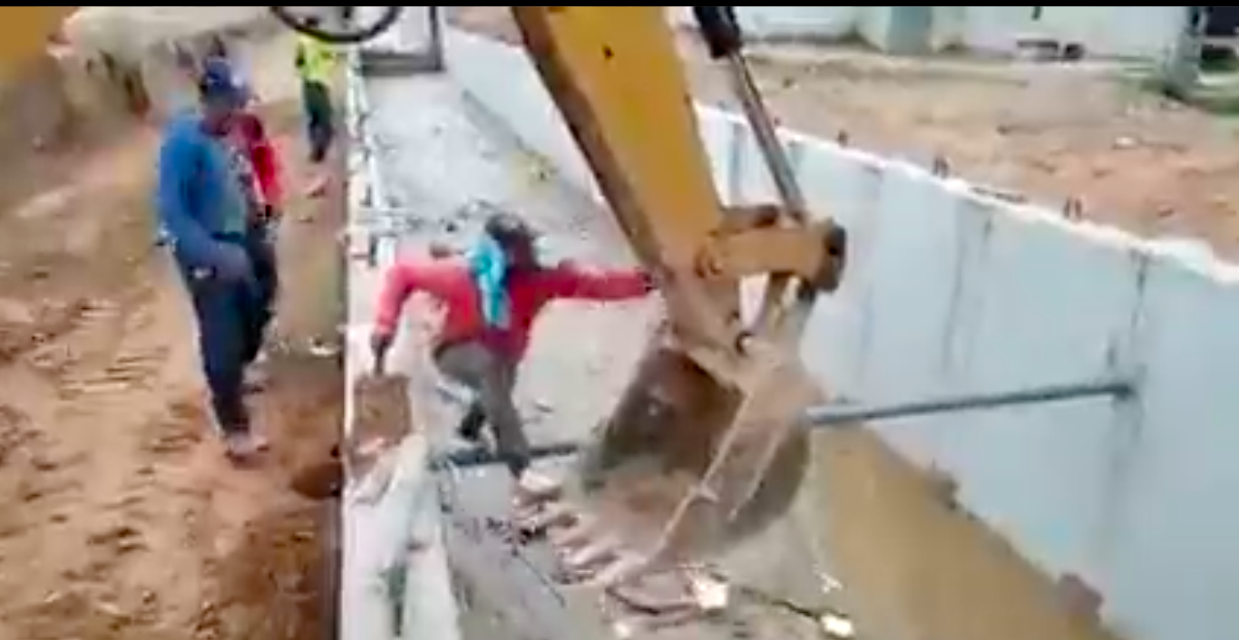 perritos-ecuador-rescate