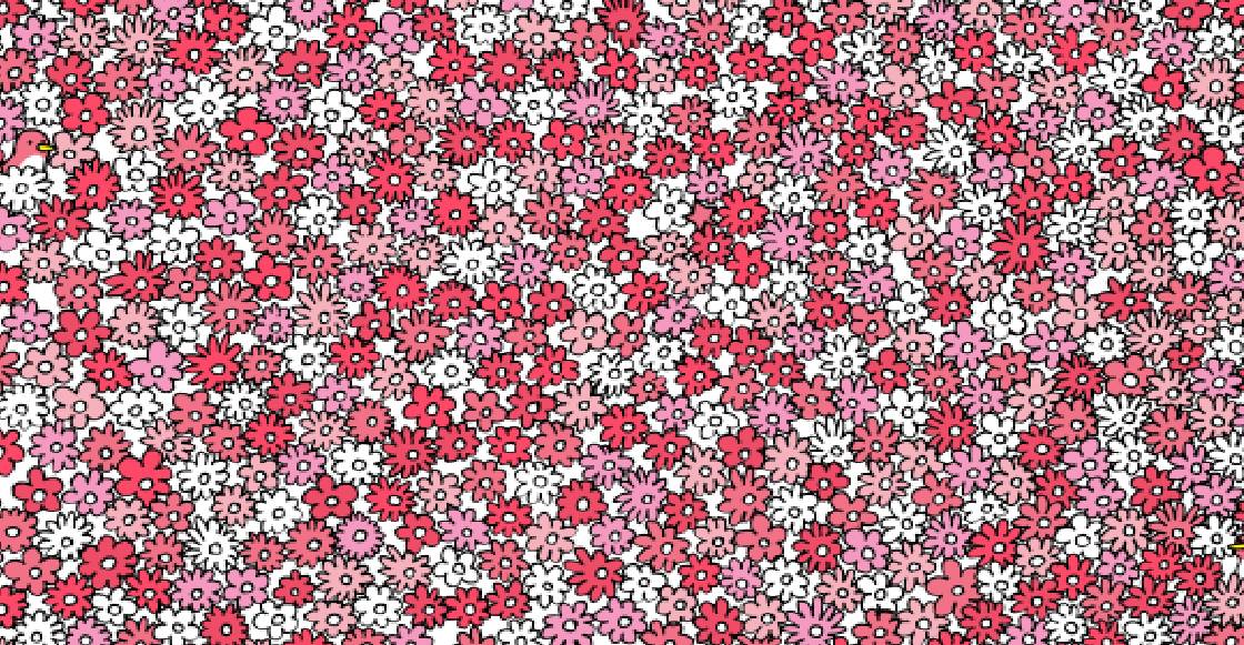 ¿Pueden encontrar 5 estrellas entre las flores en este reto visual?